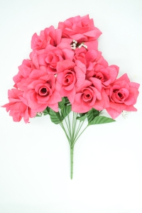 Beauty Micro Peach Open Rose Bush With Veins x12 (Lot of 1) SALE ITEM